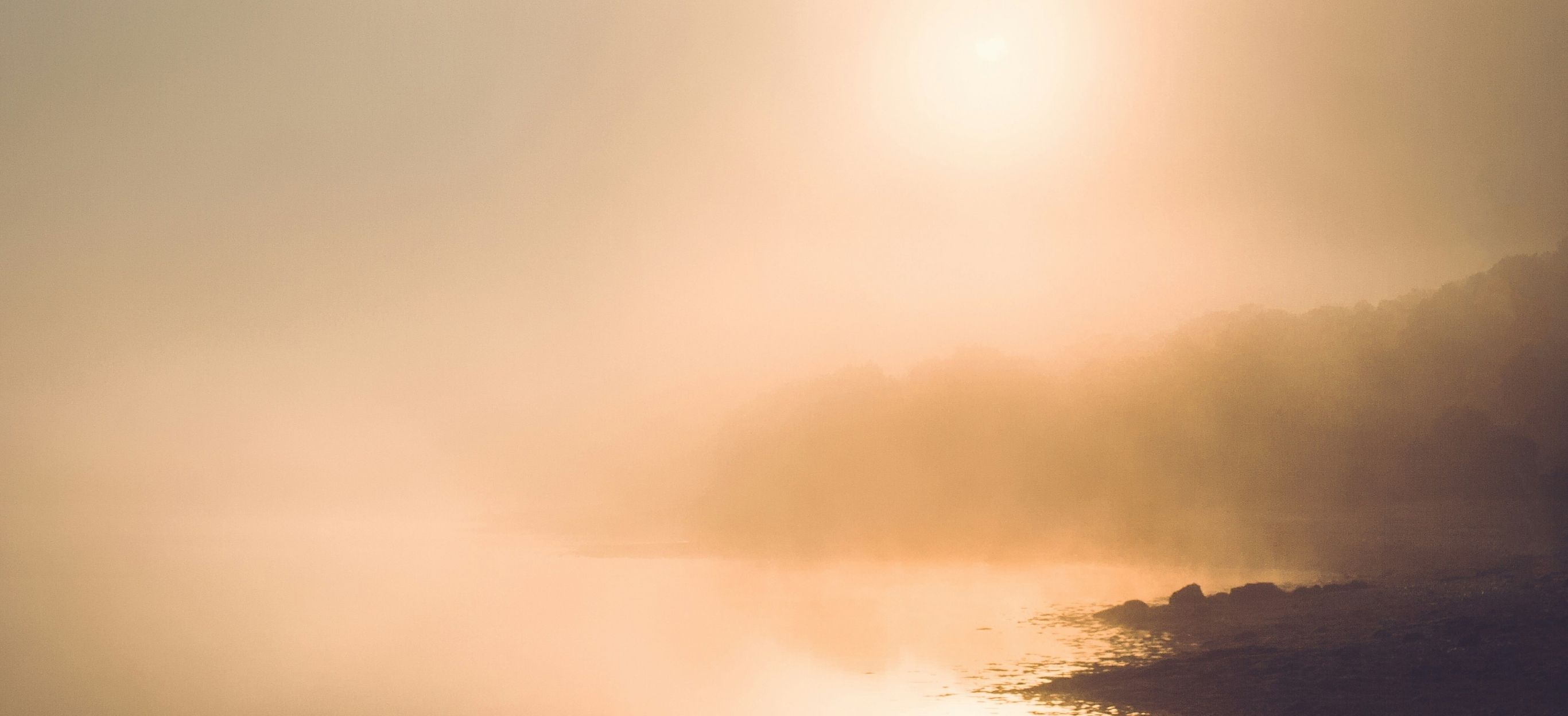 Küste im Nebel